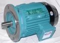 Manufacturers Exporters and Wholesale Suppliers of Flange Mounted Electric Motor New Delhi Delhi